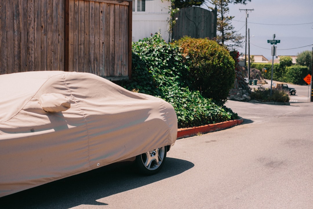 Car covered with a protective cover parked near a wooden fence and greenery